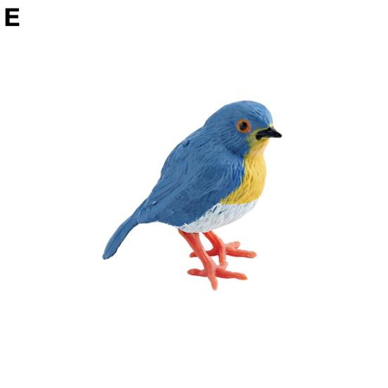 Realistische Vogel Figur Kuckuck Mannequin Kolibri Rotkehlchen Modell Miniatur Figur Kinder