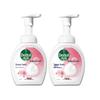 Hyaluronic Acid Foaming Hand Wash, Floral Scent (2 X 250ml)