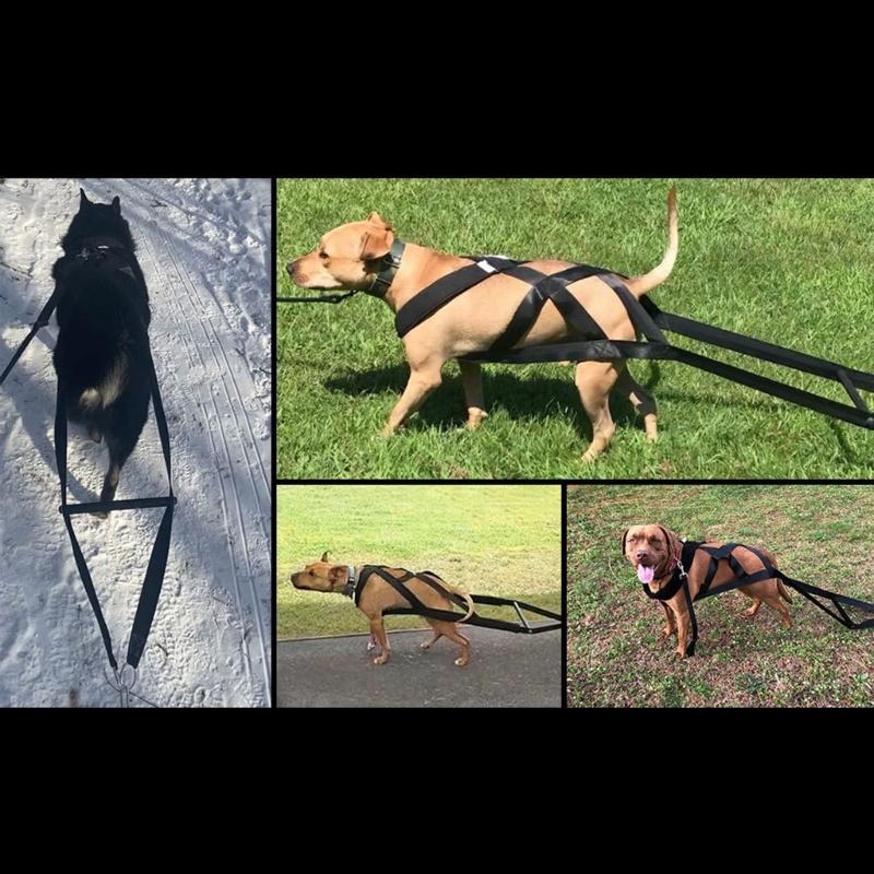 Imbracature per slitta da cane Pet Strong Training Sledge Supplies Imbracatura da slitta per cane da allenamento