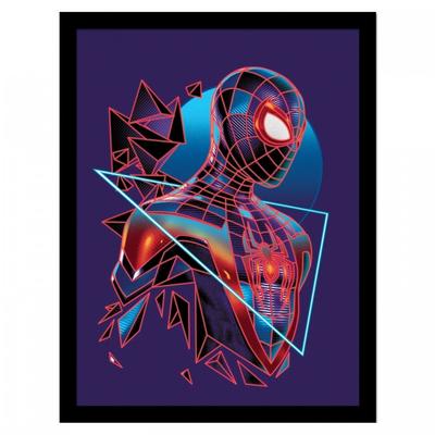 Geometric Framed Poster