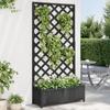 Vidaxl Planter with Trellis, Black, Solid Fir Wood