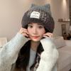 Fashionable and Versatile Patch Plush Knitted Hat Korean Casual Windproof Warm Hat Big Head Surround Women's Hat
