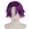 Heat-resistant Cosplay Wig, Perfect for Anime Costumes, Parties, Events, and Fancy Dress. Includes Wig Net. (Watarai Hibari)