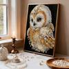 DIY Owl Pearl Art Painting for Adults/Beginners Gift Home Decor Pearl Gem Paintings Picture Arts Craft 30x40cm Without Frame