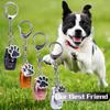 Dog Cat Ashes Dog Ashes Keepsake Paw Print Pet Urns Keyring Pet Urns Keychain  Cremation Jewelry