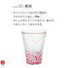 ADERIA Tsugaru Vidro Bubble Making Evening Made in Presentation Highball Stylish Whiskey Gift for Housewarming Greeting Retirement Birthday Gift