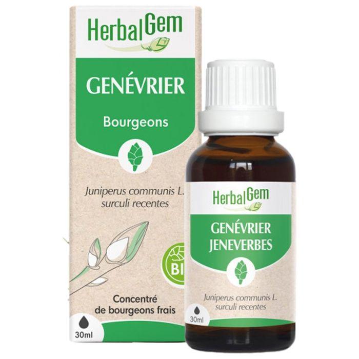 Herbalgem Macérat Concentré Genévrier Bio 30ml