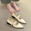 2025 spring new French temperament Mary Jane shoes women's word with Korean version commuter pointed thick heel versatile single shoes