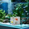 Fish Tank Breeder Box Fish Tank Isolation Box With Suction Cups Clear Nursery Divider Container Hatchery Incubator For Betta