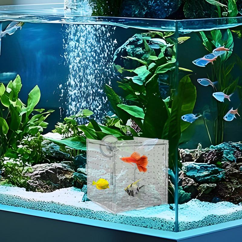 

Fish Tank Breeder Box Fish Tank Isolation Box With Suction Cups Clear Nursery Divider Container Hatchery Incubator For Betta CHINA