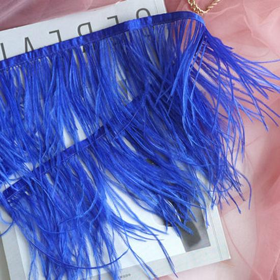 Ostrich Feather Fringe - Various Colors, 10-15cm, 1 Meter for Clothing Accessories