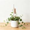 Copper Garden Stakes Coil Electroculture Antennae Plant Pile For Strong Plant And Better Nutrient Uptaking