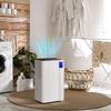 12L/Day Dehumidifier, with Filter - White
