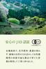 FORIVORA Matcha Powder First Flush Shizuoka Organically Premium Japanese Canned 30g, Tea, Prefecture, Grown, Pesticide-Free, Matcha,