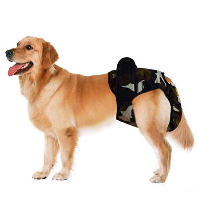Niedliche Hygienehose für Hunde