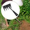 Garden Hand Rake for Weeding and Soil Loosening In Vegetable Farms