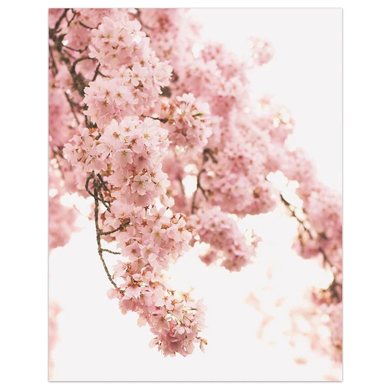 Pink Flower Petals Romantic Wall Decoration Painting Sea Beach Poster and Prints  Wall Art Canvas Living Room Frameless