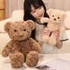 Kawaii Bear Plush Toy 30/45cm Soft Stuffed Animal Teddy Bear Pillow for Kids Girls Christmas Birthday Gift Home Decor