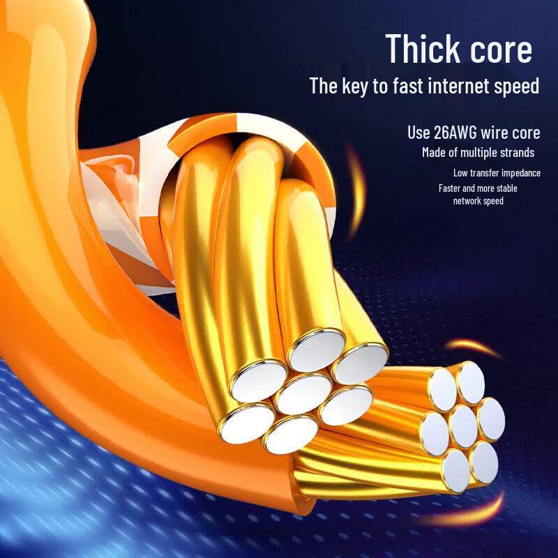 BIAZE CAT6 Angled Ethernet Cable