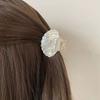 Korean Style Shell Hair Claw Acrylic Shell Shape Claw Clip Vintage Shell Crab Clip  Lady