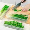 5/1 Stück Kühlschrank Frischhaltebox Schalotten Gemüse Kaltlagerung Koriander mit Deckel Küche Versiegelter Organizer Plastikboxen