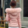 Artificial Raccoon Fur Collar Winter Jacket Women Winter and Autumn Wear High Quality Parkas Outwear Women Coats