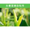 350g Fuding White Tea White Peony White Tea Cake Alpine Panxi First Spring Tea