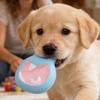 Squeaky Toys For Dogs Puppy Playing Supplies Small Dog Molar Toys For Pet Parents Trainers Animal Lovers Apartment Indoor Play