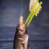 Floating Fishing Grabber Ergonomic Handle Fishing Lip Grip Lightweight Portable Fishing Pliers Lockable Fishing Accessories