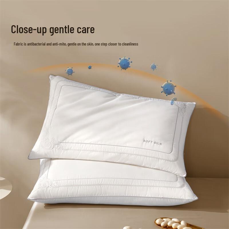 Mercury Home Textiles Class A Antibacterial Silk Pillow (Pair)