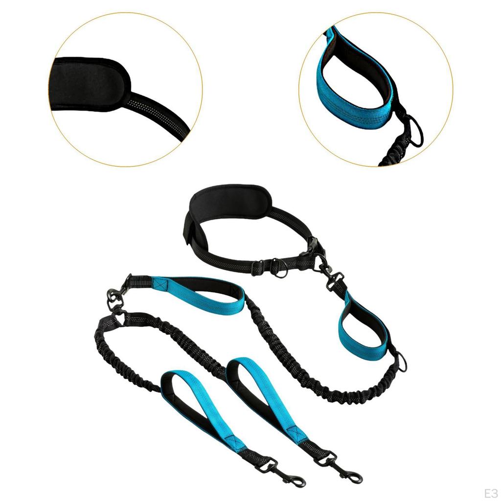 Double Dog Leash Retractable Hands Free No Pull Reflective Bungees for Canicross