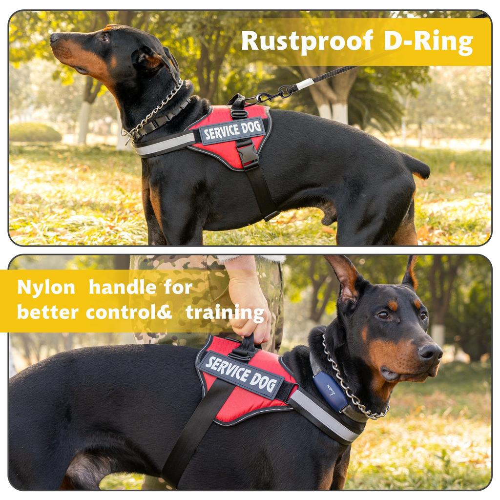 Chest Strap Dog Towing Rope Vest Medium and Large Dog Border Collie Golden Hair Bucket Explosion Proof Flushing Dog Harness