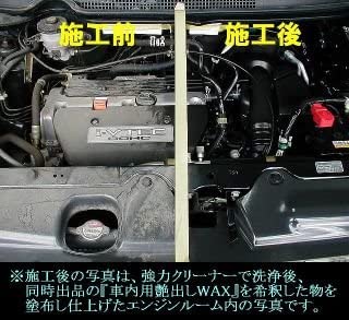 Carpical Professional Powerful Cleaner, 1L [Engine Compartment/Oil Stain Cleaner]