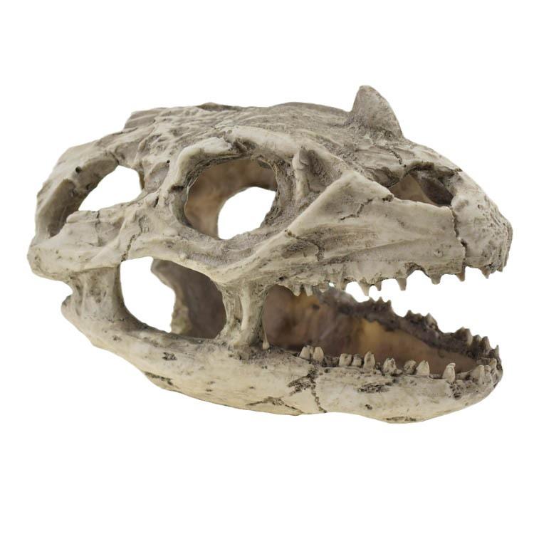 Dinosaur Resin Skull Aquarium Decoration: Fish Tank Ornament & Water Plant Landscaping