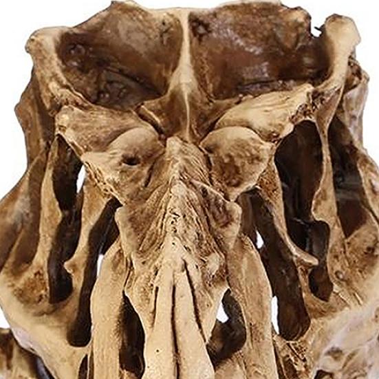 Resin Crafts Dinosaur Tooth Skull Fossil Teaching Skeleton Model Halloween Decor