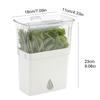 Clear View Vegetable and Herb Storage Container Maintains Crispness for Kitchen Organization and Picnics Essential