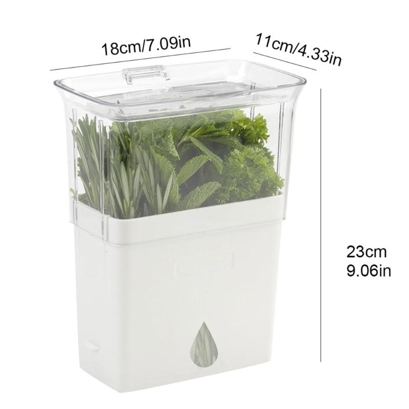 Clear View Vegetable and Herb Storage Container Maintains Crispness for Kitchen Organization and Picnics Essential