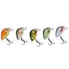 5 Pcs Mini Fishing Lures Crankbait Realistic Fishing Hard Baits Kit with Box for Sea Water and Fresh WaterType 3