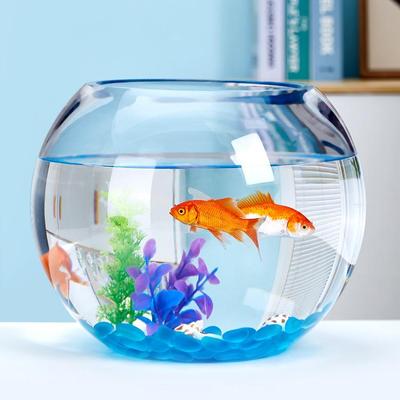 Transparentes rundes Glasaquarium für Büro oder Wohnzimmer - Kleines Desktop-Aquarium für Goldfische oder Schildkröten