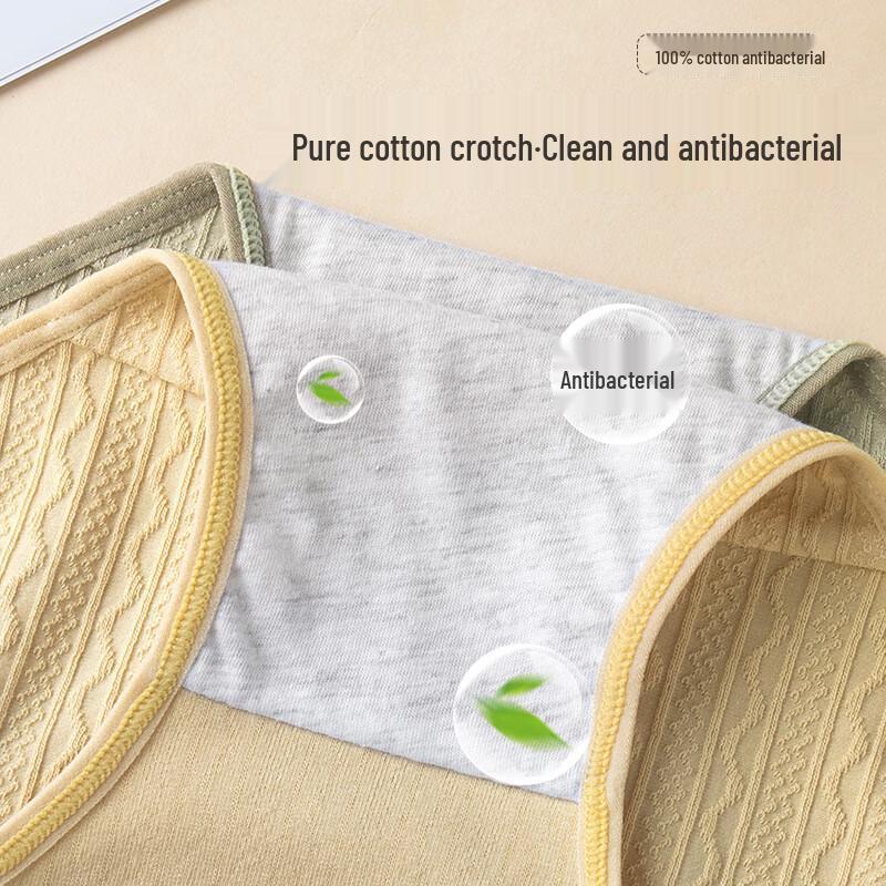 Women's Plus Size High-Waist Cotton Underwear Multi-Pack