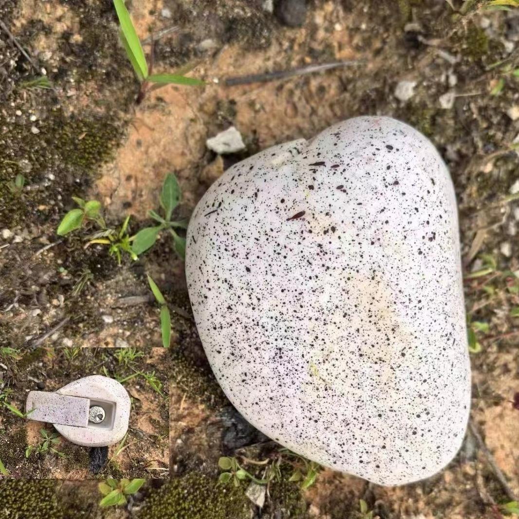 

Disguised Rock Key Storage for Outdoor Spaces, Spacious Imitation Stone Safe, Appears As a Rock, Conceal Key Outdoors in a Stone