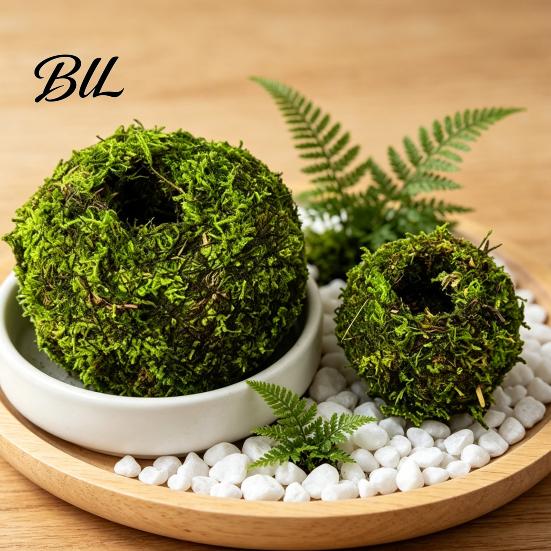 Humidity Maintaining Planter Moss Ball Flower Pot, Natural Green Bonsai Plant Holder, Decorative Spherical Pot for Home, Garden, Wedding Party
