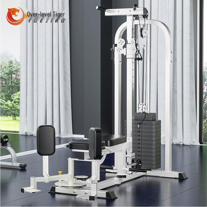 Transcendent Tiger Multifunctional Home Gym