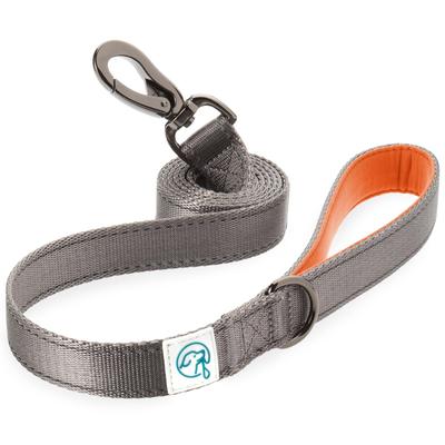 Embark Pets Abenteuer Hund Länge 150cm x Breite Leine, Orange, 2,5cm