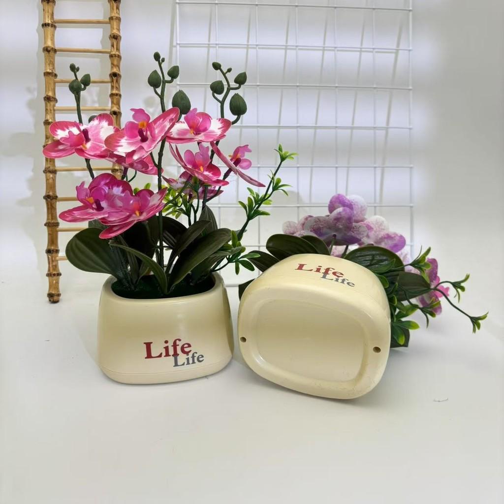 Butterfly Orchid Artificial Plant For Photography Decor And Home Styling