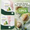 12pcs Avocado Extract Hand & Foot Care Masks, Formulated with Plant Extracts, Lightweight, Fast-absorbing Formula