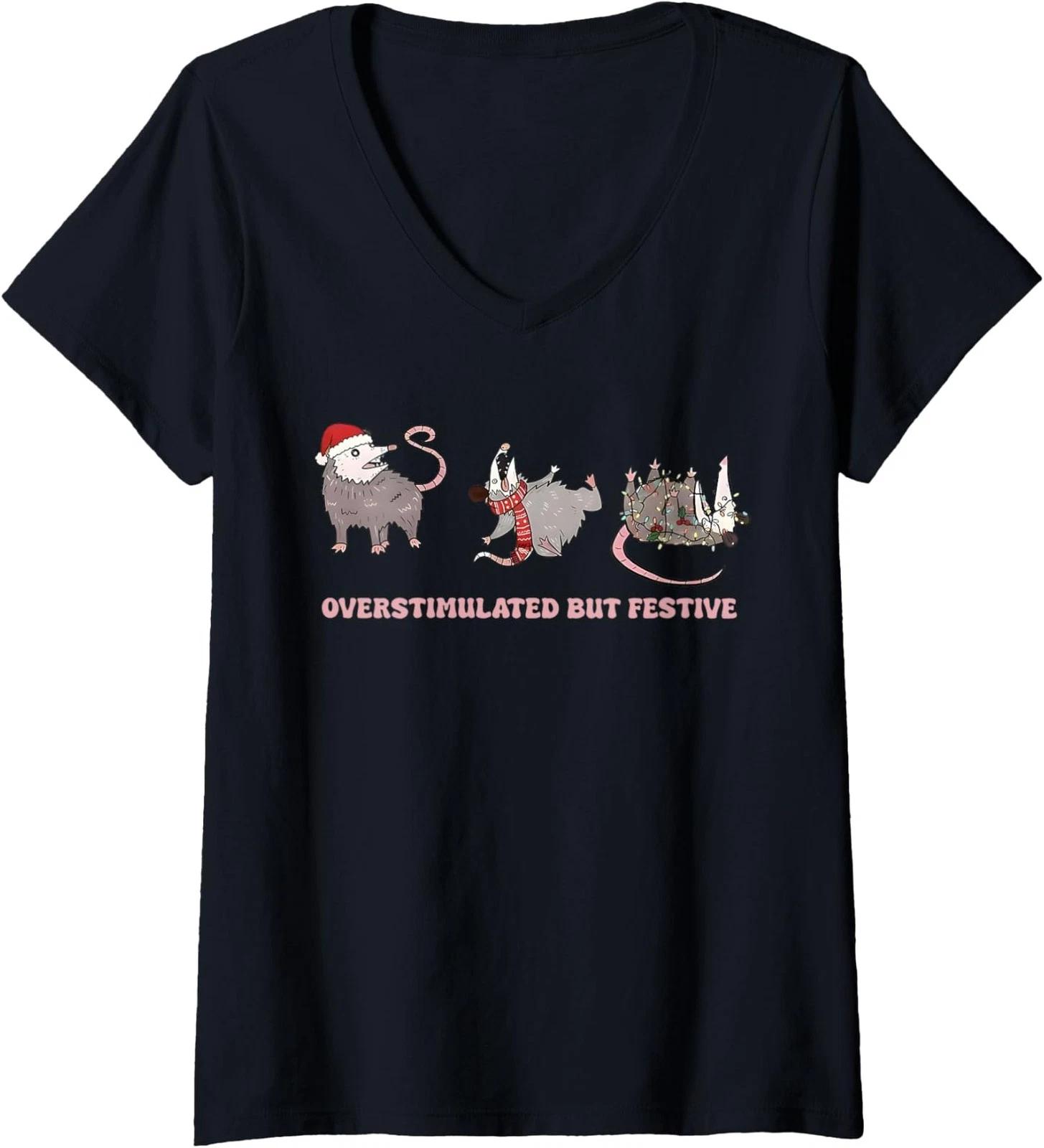 I Need 67 Snow Days Meme Winter Humor Freeze Vibe Ladies  Crewneck T-Shirt 4XL