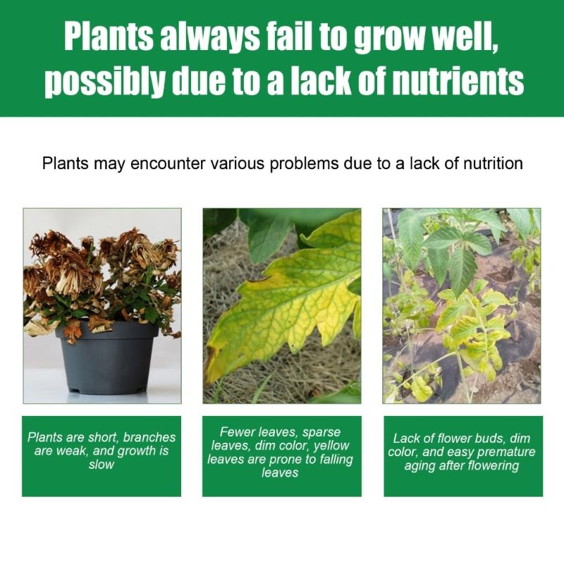 

22/44 шт. Таблетки медленного высвобождения Усилитель роста растений Садоводство Универсальный для фруктов и овощей Открытый Закрытый Овощной