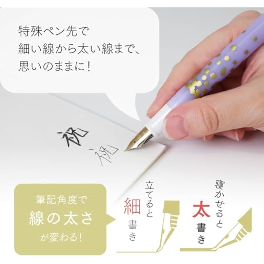 Sailor Fountain Pen DE Mannen Brush Writing Fountain Pen 30th Confetti Purple 40 Degrees 10-0343-050