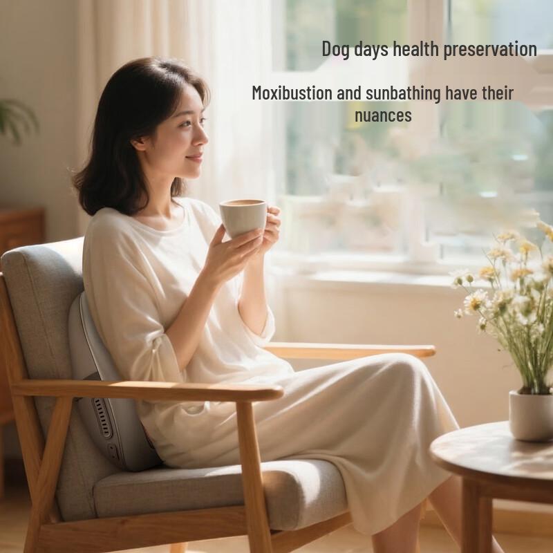 Senbaiwei Xiao Kaoshan Lumbar & Back Hot Compress Massager CN plug (adapter included)